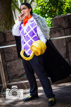 Crocodile (Cross Guild) cosplay